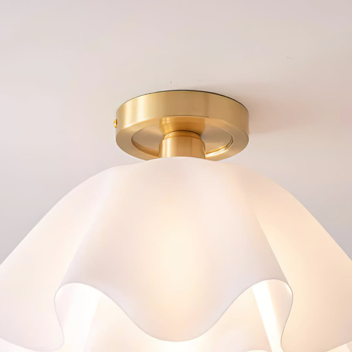 Flower-Shaped Ceiling Light Fixture Modern Sculptural Flush Mount E26 Base Indoor Metal Acrylic Shade for Bedroom Hallway Entryway | Lonoma