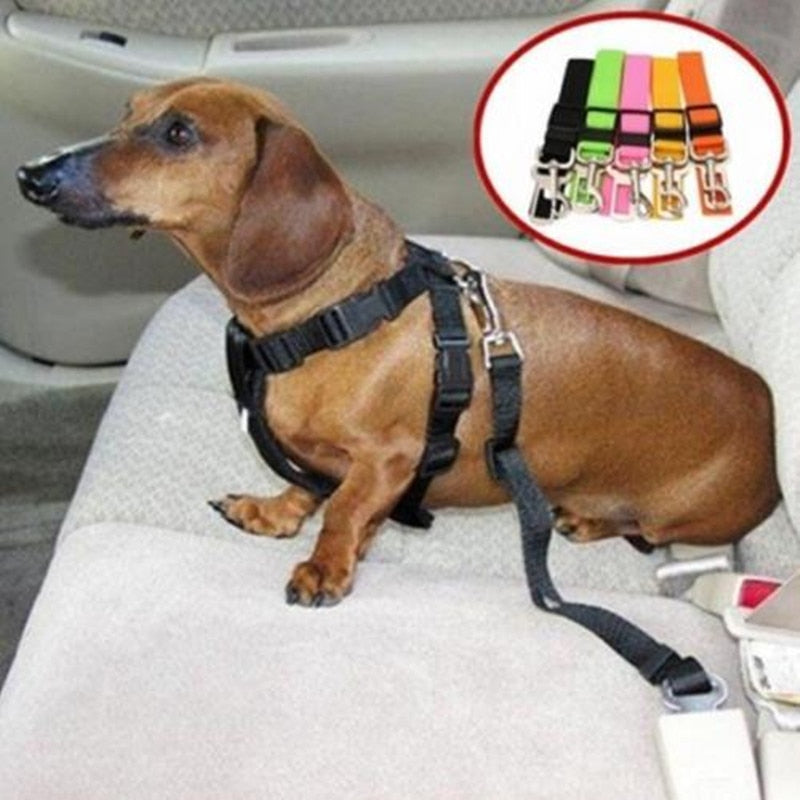 Dog Car Seatbelt Adjustable Nylon 2-in-1 Lead Clip Safety Harness Restraint Travel Strap Universal Fit Vehicle | Koossa