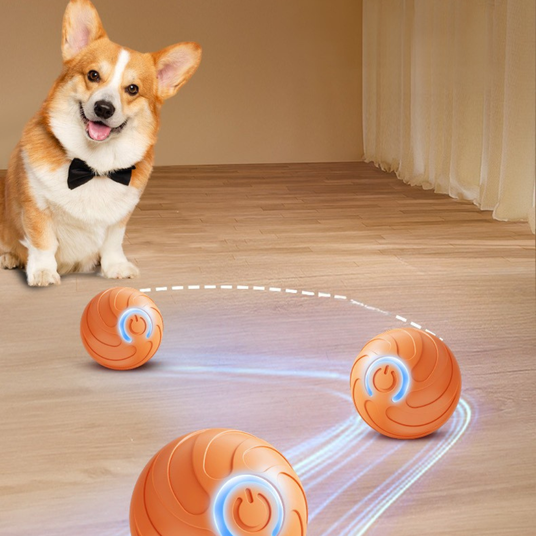 Dog Toy Ball Interactive LED Self-Rolling Motion Activated Indoor Automatic Pet Chaser Game | Koossa
