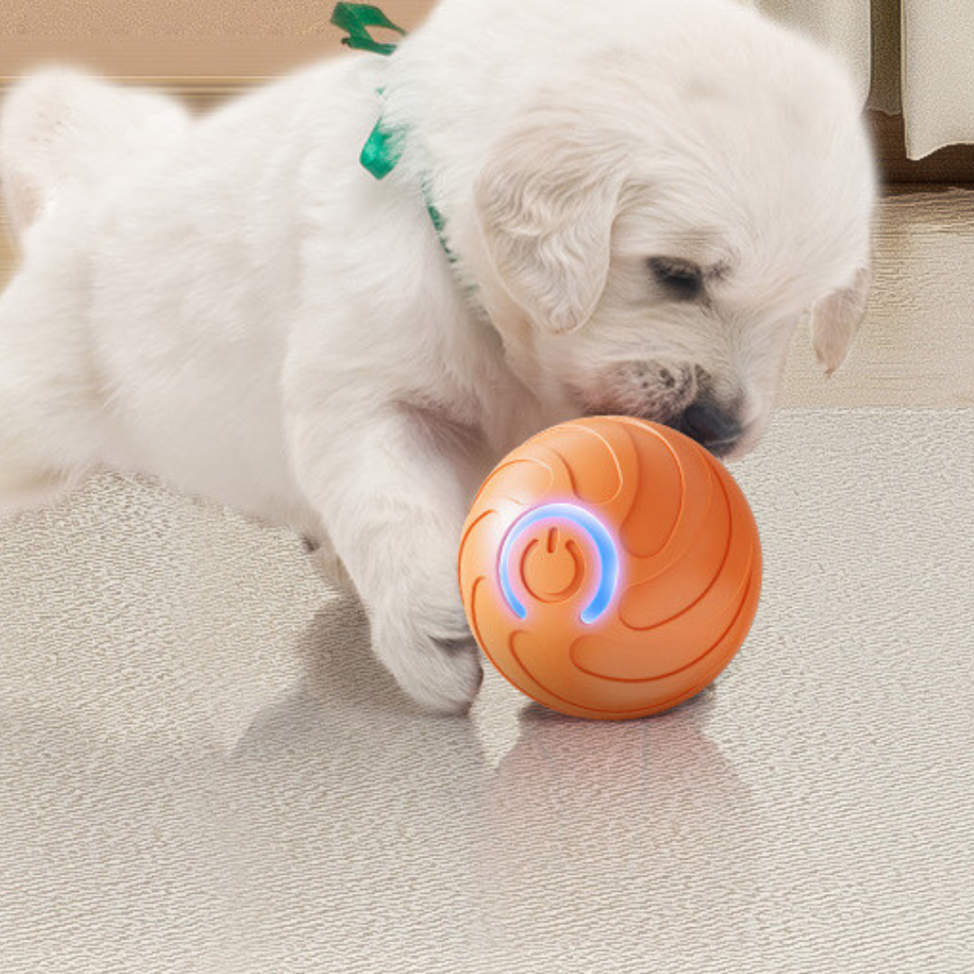 Dog Toy Ball Interactive LED Self-Rolling Motion Activated Indoor Automatic Pet Chaser Game | Koossa