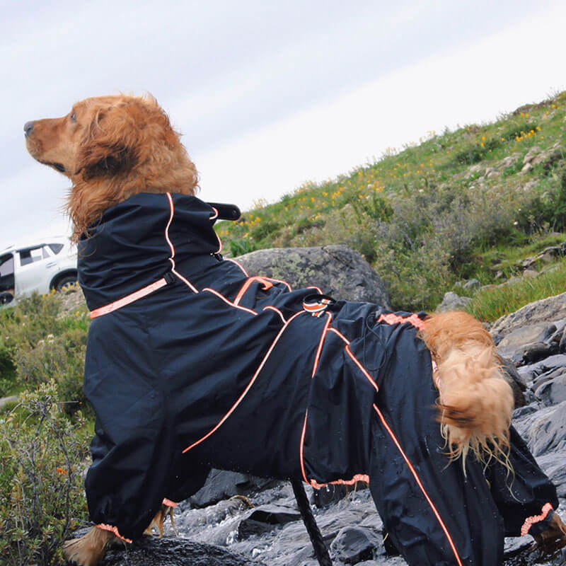 Dog Raincoat Full Body Waterproof Polyester Graphene Reflective Strips Large Dogs Windproof Snow Jacket Coat | Koossa