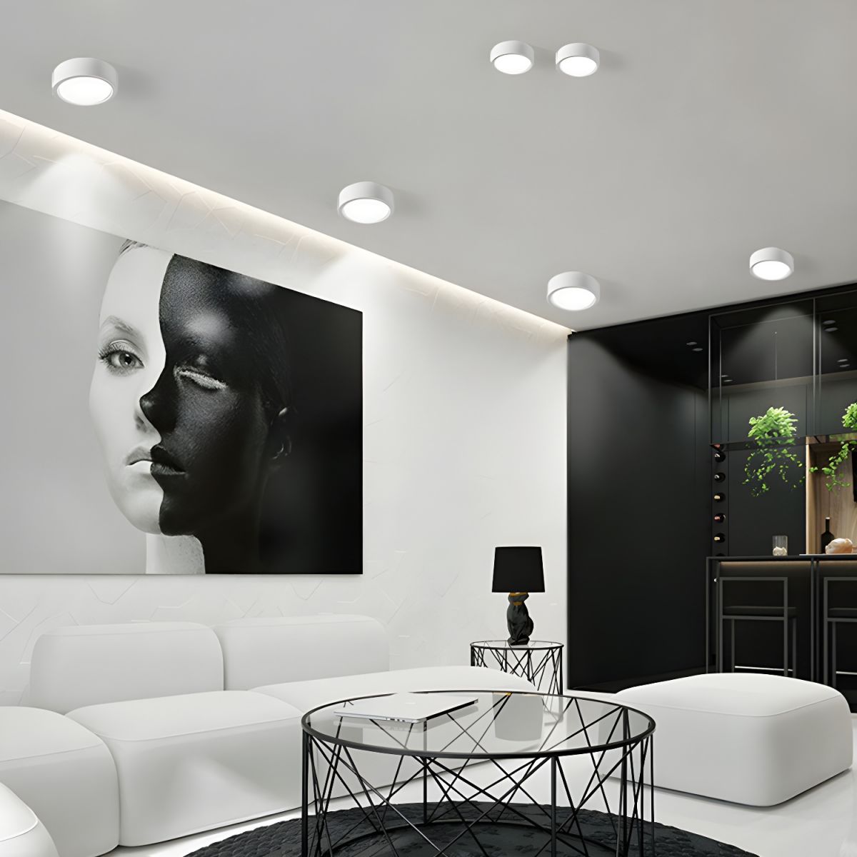 Surface Mount LED Ceiling Light Round 4–7 in Adjustable Color Temperature Black White for Kitchen Hallway Bedroom Living Room | Lonoma
