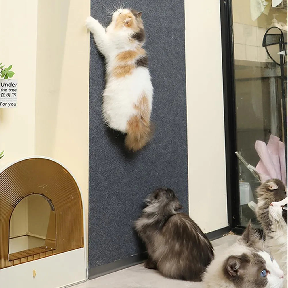 Cat Scratch Mat Furniture Protector Sofa Guard Self-Adhesive Carpet Wall Protector Claw Training Pad | Koossa