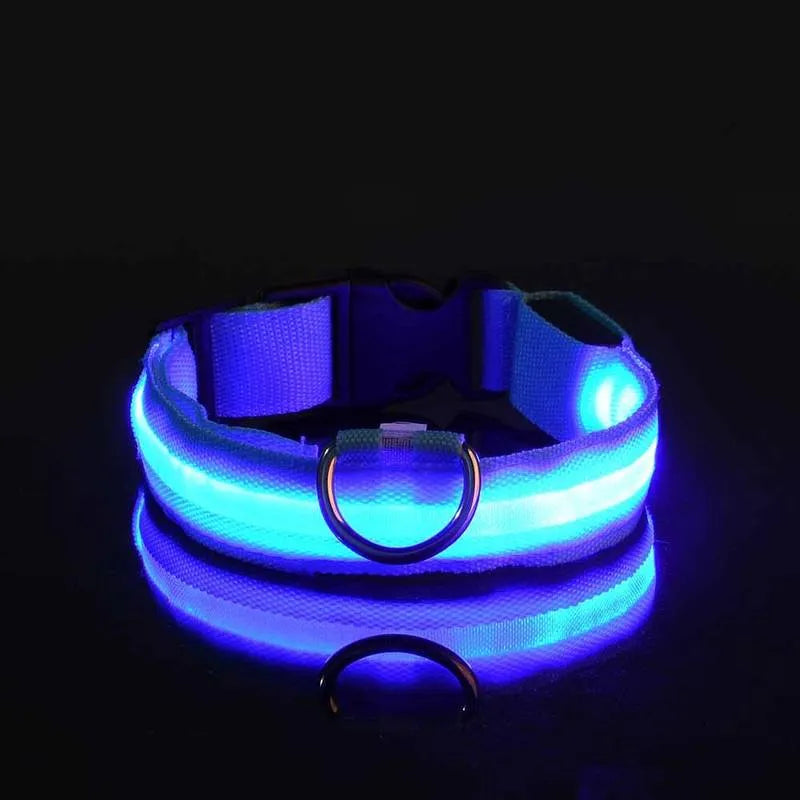 LED Dog Collar USB Rechargeable Nylon Reflective Waterproof Night Safety XS XL Adjustable Pet Collar Visibility Walking | Koossa