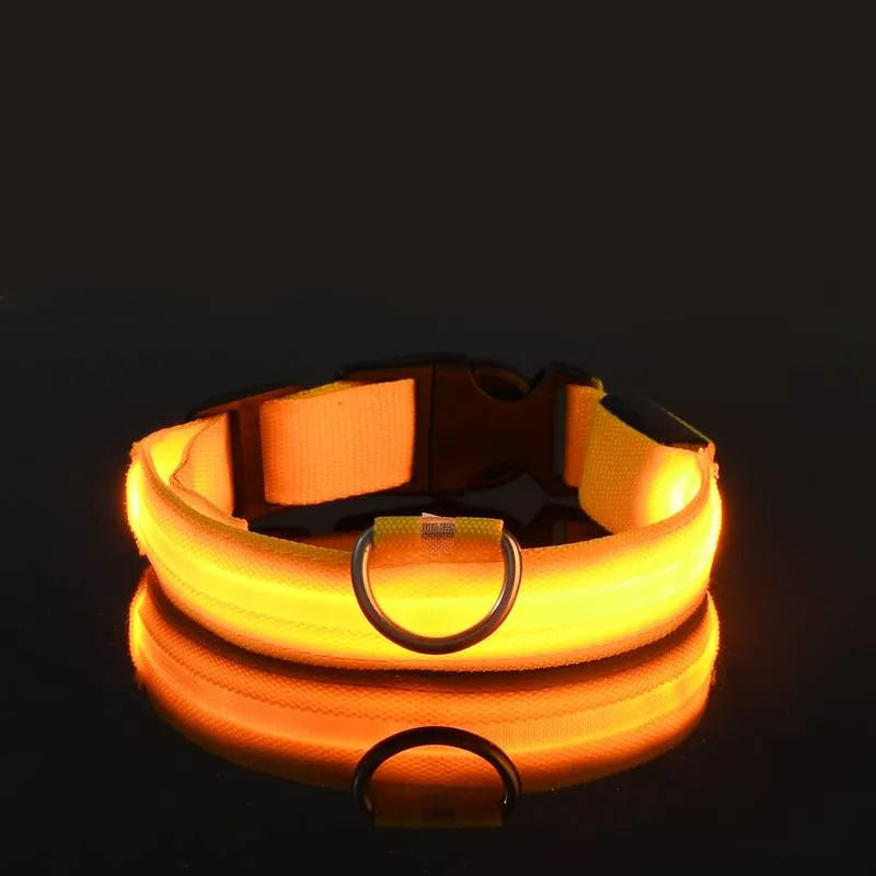 LED Dog Collar USB Rechargeable Nylon Reflective Waterproof Night Safety XS XL Adjustable Pet Collar Visibility Walking | Koossa