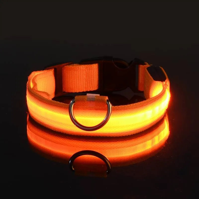 LED Dog Collar USB Rechargeable Nylon Reflective Waterproof Night Safety XS XL Adjustable Pet Collar Visibility Walking | Koossa