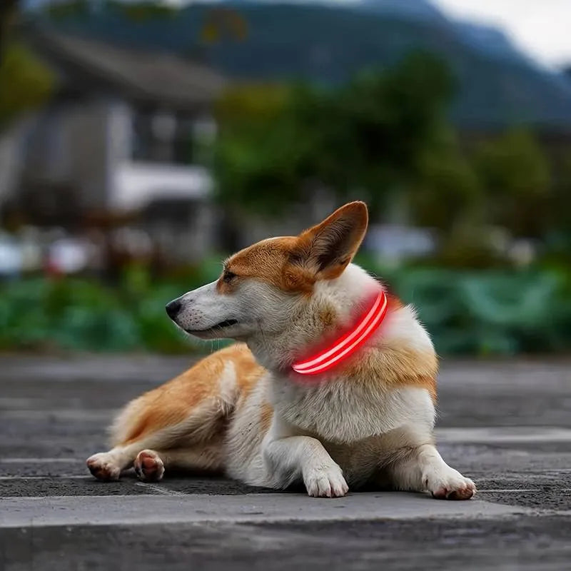 LED Dog Collar USB Rechargeable Nylon Reflective Waterproof Night Safety XS XL Adjustable Pet Collar Visibility Walking | Koossa