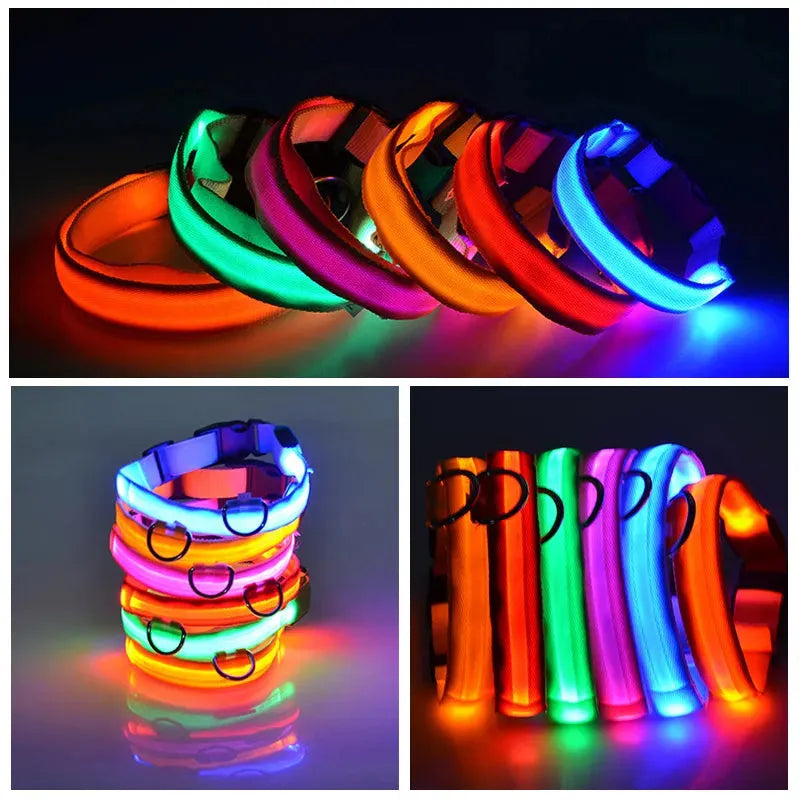 LED Dog Collar USB Rechargeable Nylon Reflective Waterproof Night Safety XS XL Adjustable Pet Collar Visibility Walking | Koossa
