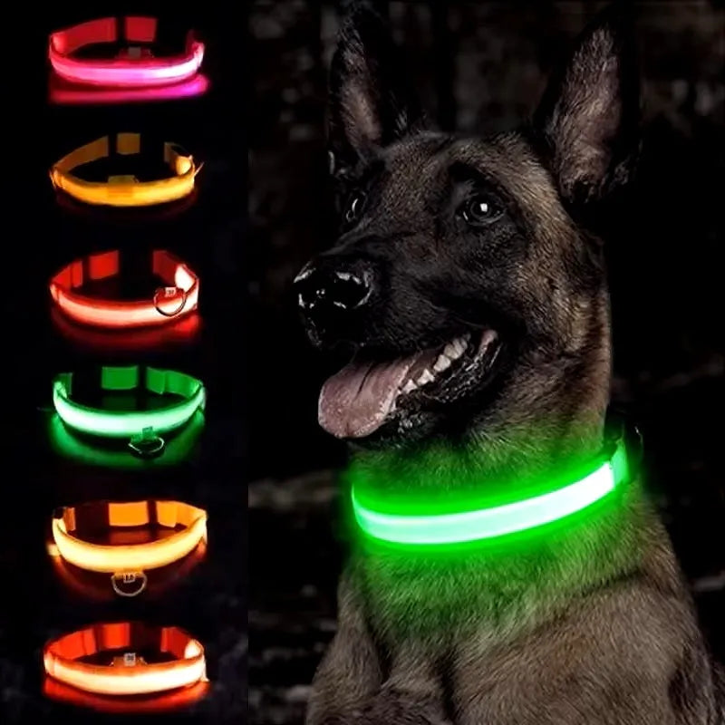 LED Dog Collar USB Rechargeable Nylon Reflective Waterproof Night Safety XS XL Adjustable Pet Collar Visibility Walking | Koossa