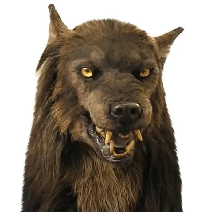 Full Head Wolf Creature Mask for Halloween Costume Parties and Convention Character Cosplay with Realistic Fur and Silicone Construction | Lonoma
