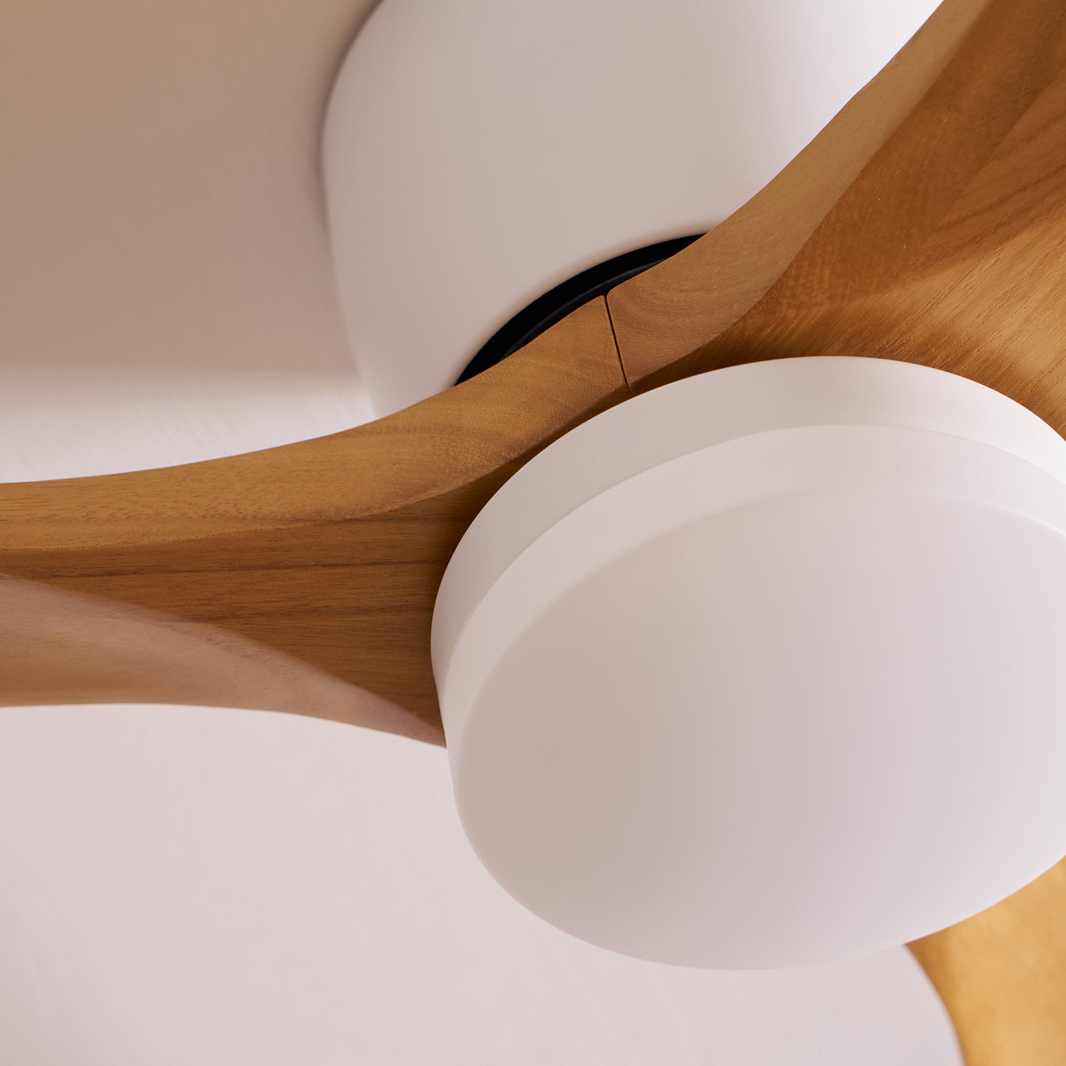 Ventilateur de plafond lumineux lames bois naturel design nordique silencieux économe chambre salon moderne | Koossa