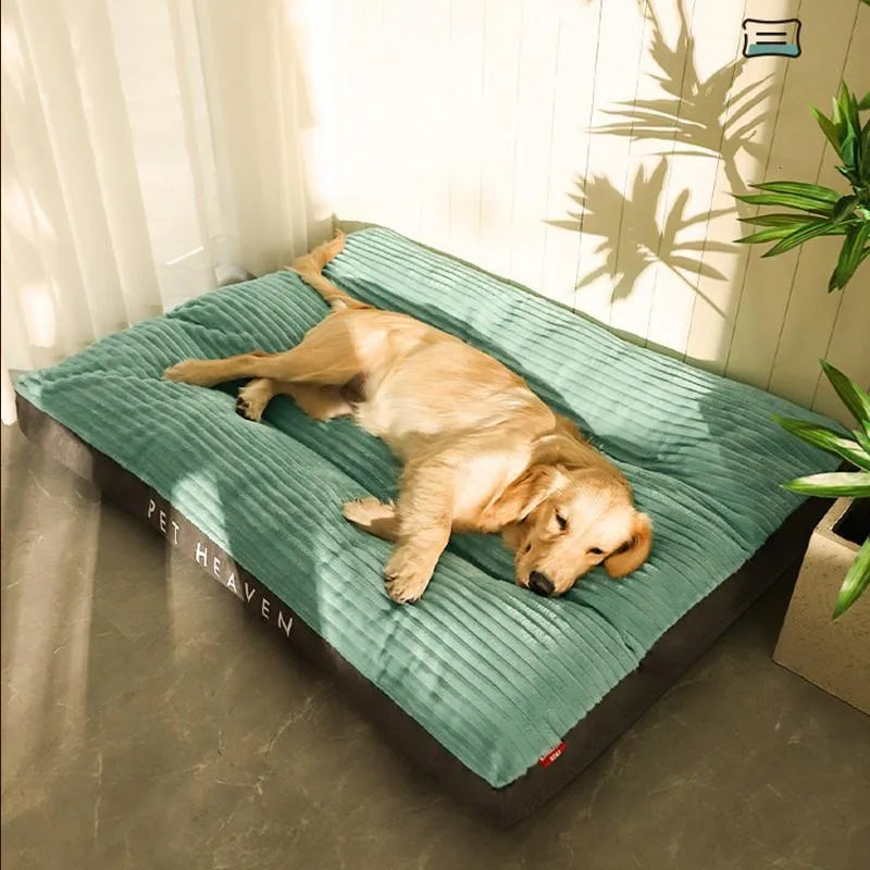 Dog Bed Orthopedic Memory Foam Large XL XXL Removable Cover Washable Joint Support Senior Puppy Mattress | Koossa