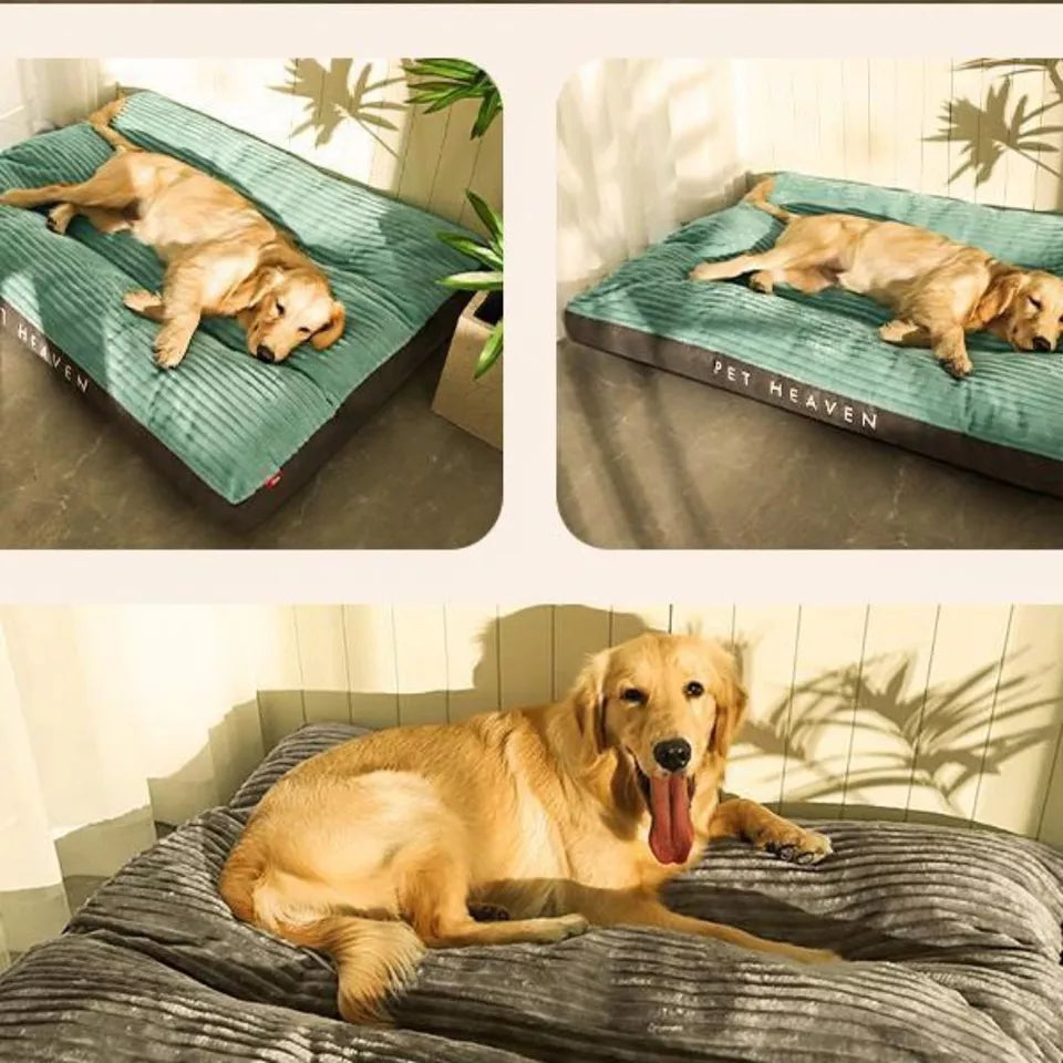 Dog Bed Orthopedic Memory Foam Large XL XXL Removable Cover Washable Joint Support Senior Puppy Mattress | Koossa