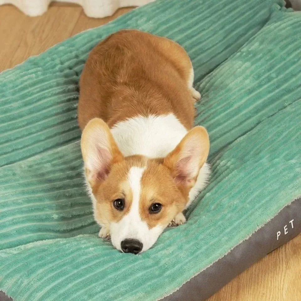 Dog Bed Orthopedic Memory Foam Large XL XXL Removable Cover Washable Joint Support Senior Puppy Mattress | Koossa