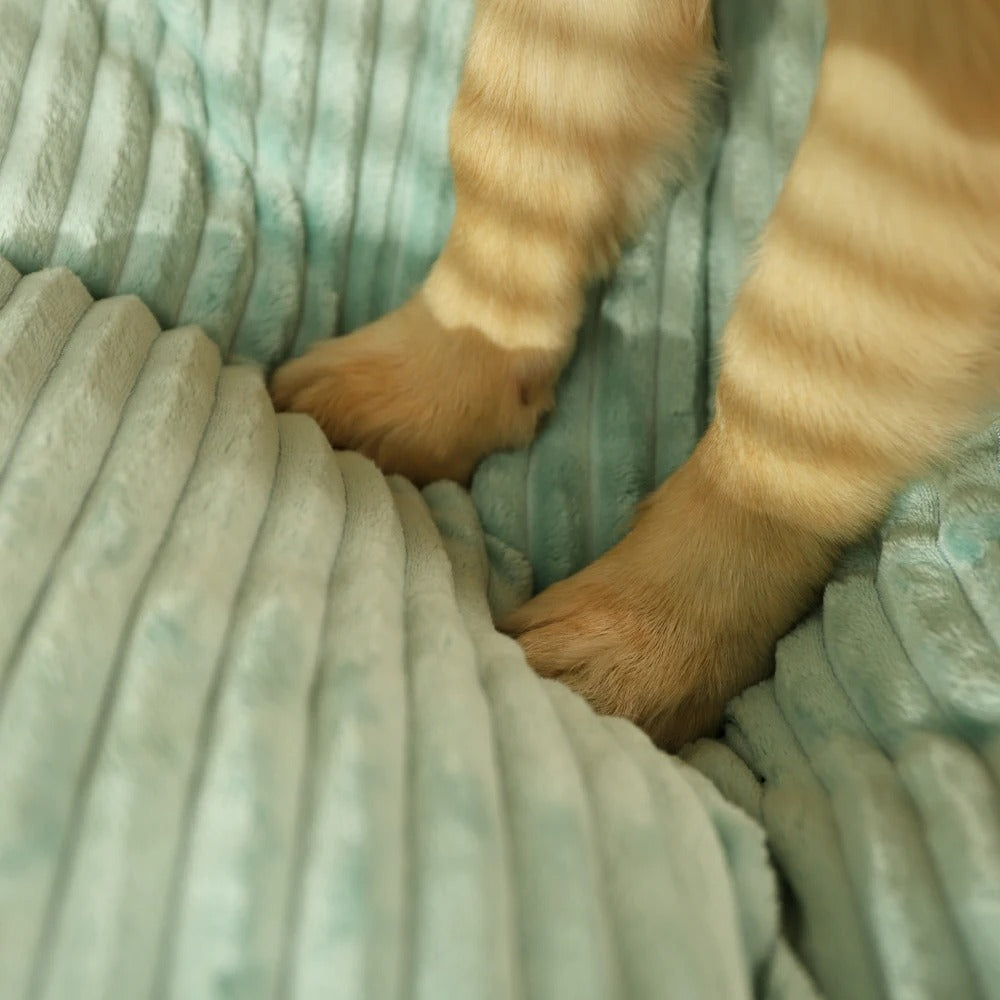 Dog Bed Orthopedic Memory Foam Large XL XXL Removable Cover Washable Joint Support Senior Puppy Mattress | Koossa
