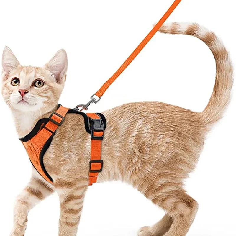 Cat Harness No-Choke Mesh Breathable Adjustable Escape-Proof Vest Kitten Lead Outdoor Walking | Koossa