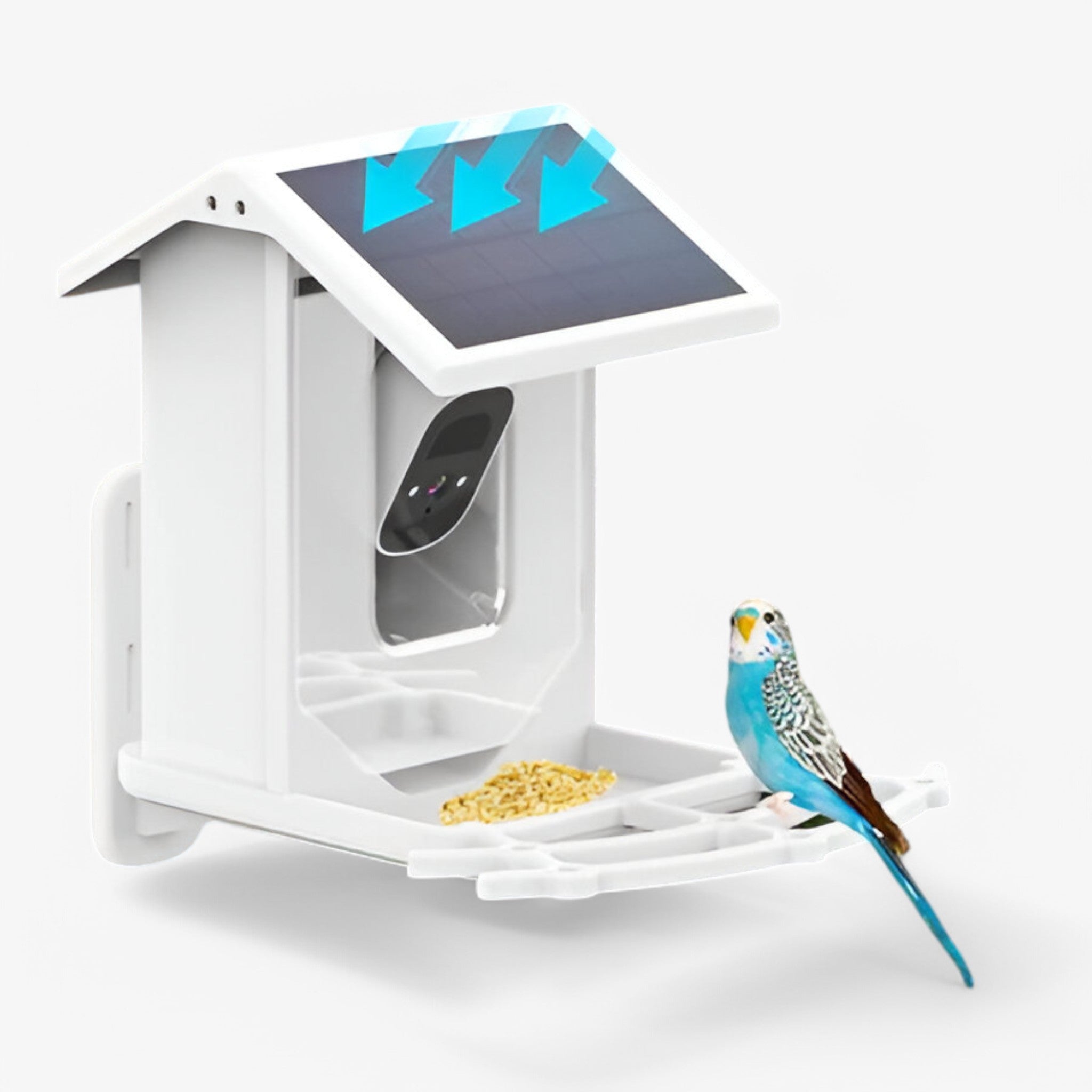 Bird Feeder Camera Smart AI Solar Powered 1080P HD Wildlife Garden Watching Identification Outdoor | Koossa