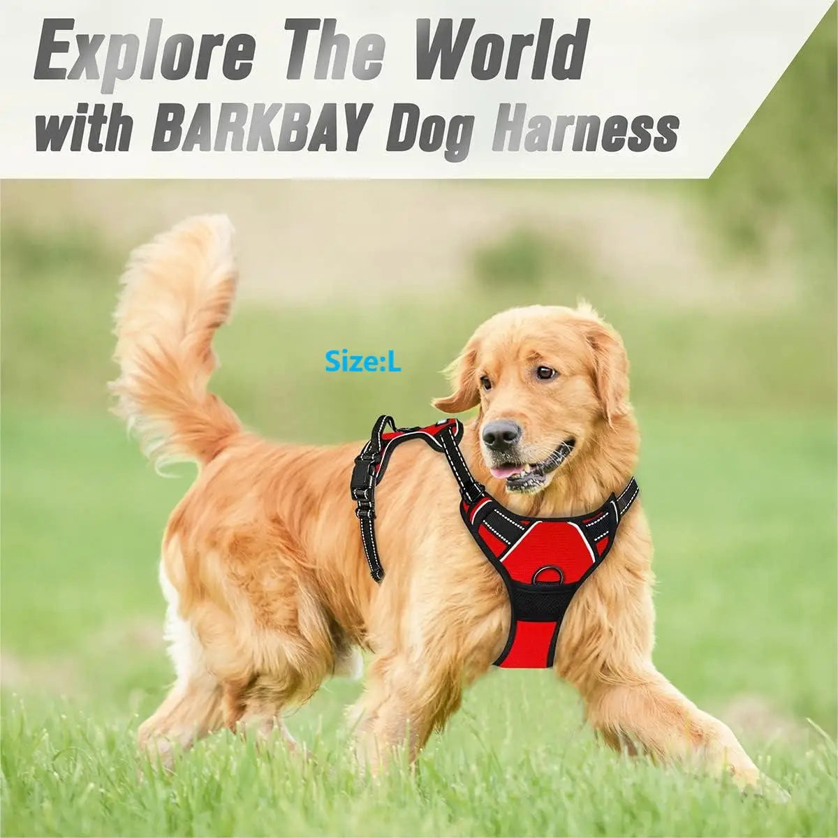 Dog Harness No Pull Front Clip Reflective Heavy Duty Handle Large Medium Adjustable Padded Vest Walking Training | Koossa