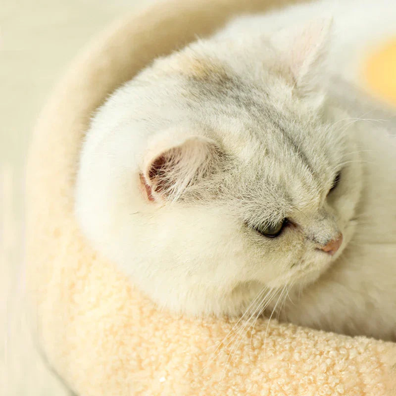 Cat Bed with Scratching Pad 2-in-1 Sisal Round Warm Cushion Kitten Scratcher Cosy Sleeping Basket Claw Sharpening Mat Natural | Koossa