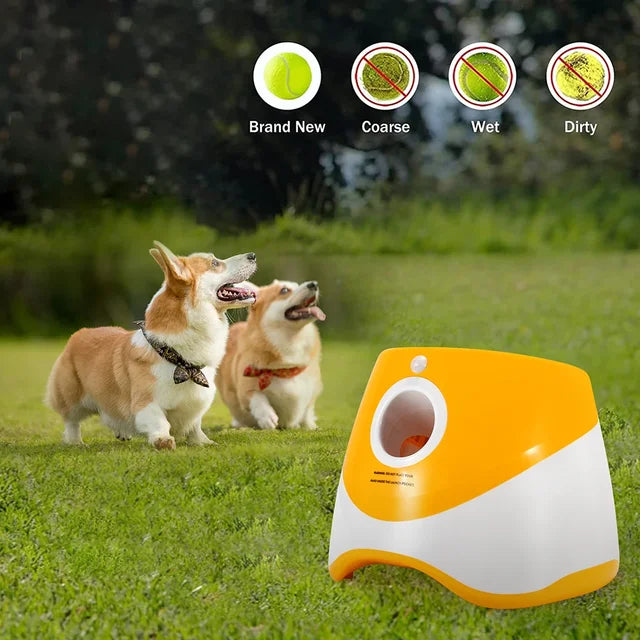 Automatic Dog Ball Launcher Rechargeable Adjustable Distance 3m 6m 9m Interactive Fetch Toy Tennis Ball Thrower Small Medium Large Dogs | Koossa