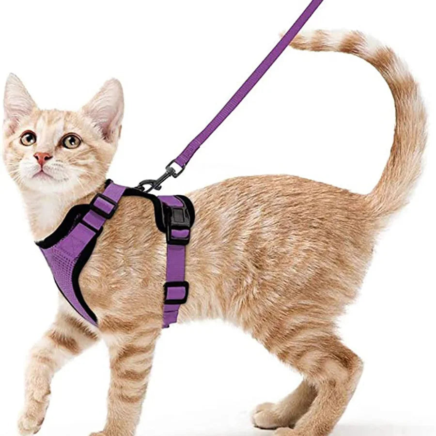 Cat Harness No-Choke Mesh Breathable Adjustable Escape-Proof Vest Kitten Lead Outdoor Walking | Koossa