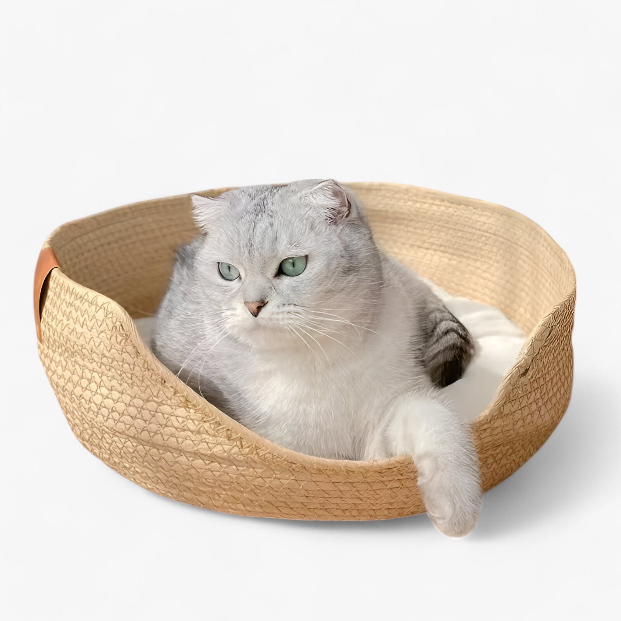 Cat Bed Basket Woven Bamboo Natural Round Cushion Small Dog Puppy Pet Nest Breathable Handmade Raised Edge | Koossa