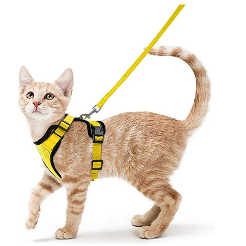 Cat Harness No-Choke Mesh Breathable Adjustable Escape-Proof Vest Kitten Lead Outdoor Walking | Koossa