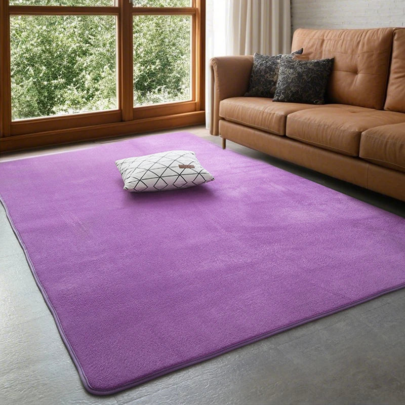 Plush Coral Velvet Area Rug Soft Non-Slip Floor Mat for Living Room Bedroom Kids Play Space Large Rectangle Home Rug | Lonoma