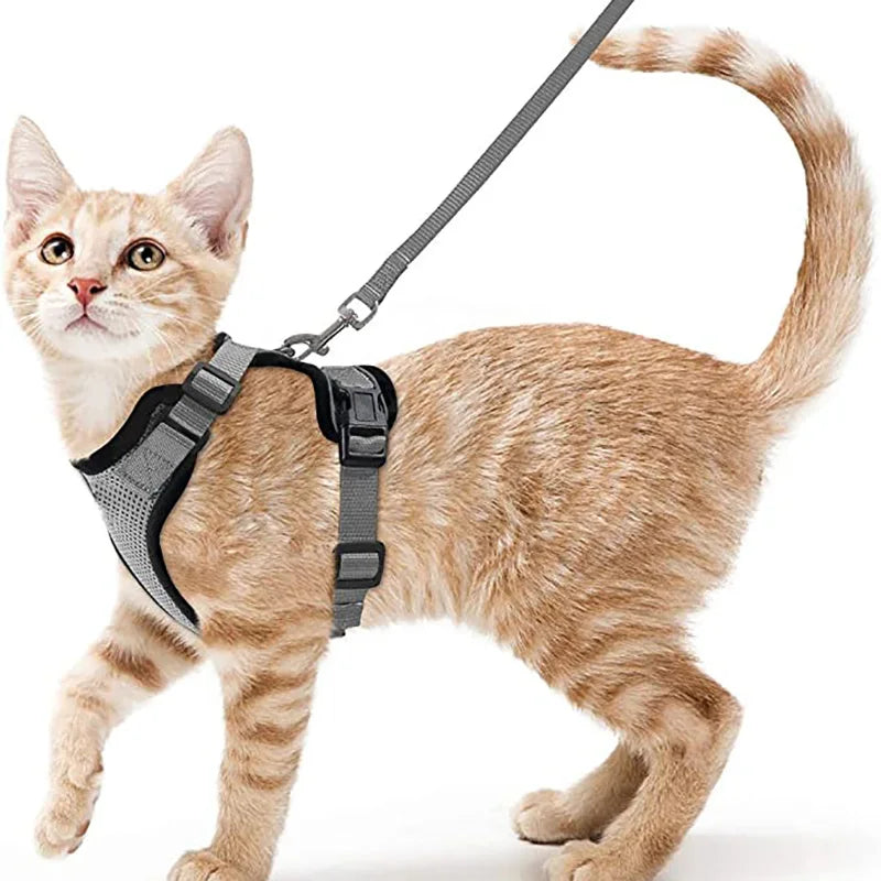 Cat Harness No-Choke Mesh Breathable Adjustable Escape-Proof Vest Kitten Lead Outdoor Walking | Koossa