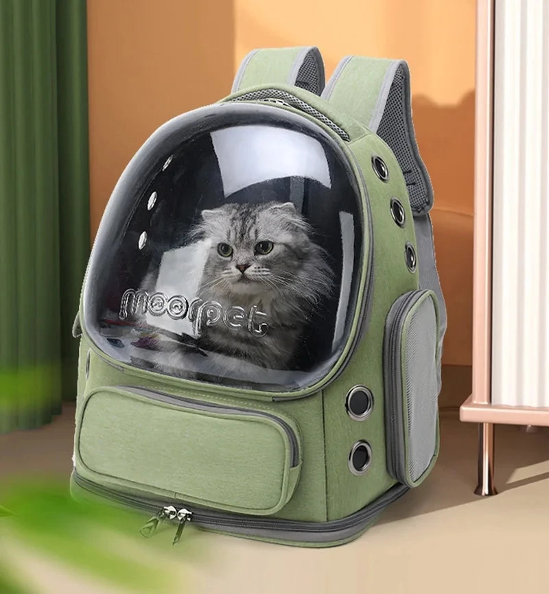 Cat Carrier Backpack Transparent Bubble Window Ventilated Travel Bag Nylon Waterproof 42x27x34cm Small Dog Pet Transport Rucksack Outdoor | Koossa