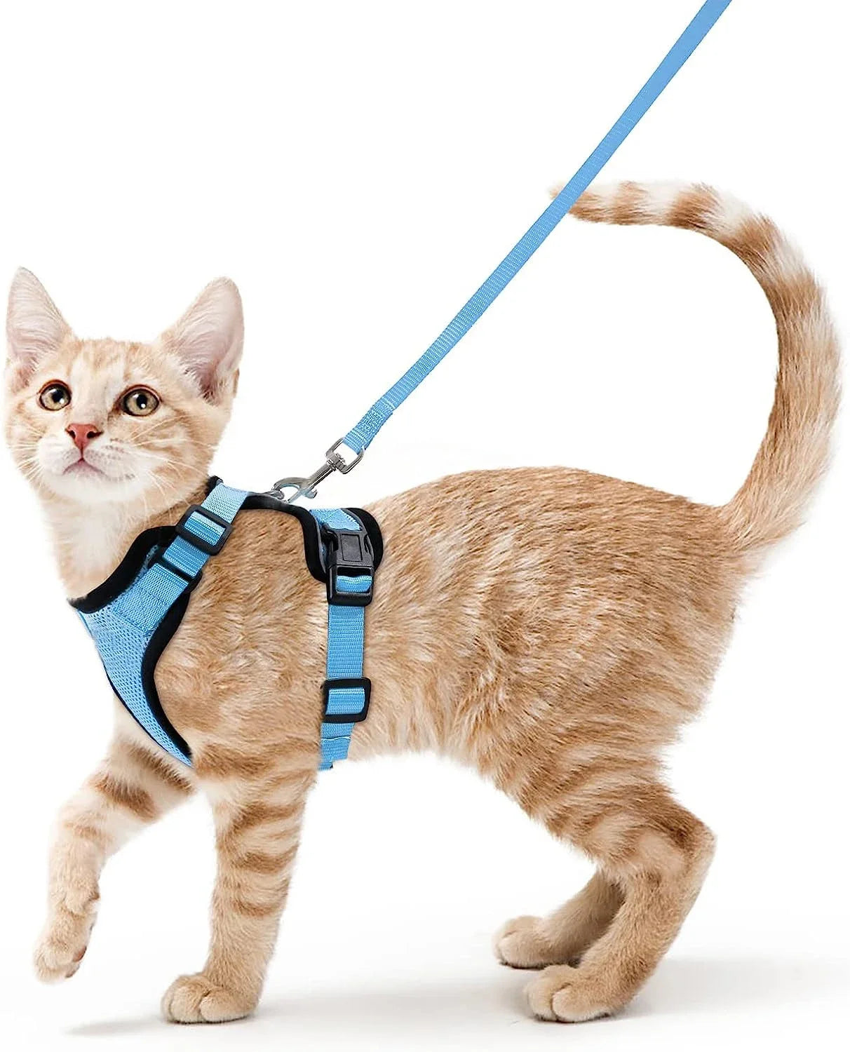 Cat Harness No-Choke Mesh Breathable Adjustable Escape-Proof Vest Kitten Lead Outdoor Walking | Koossa