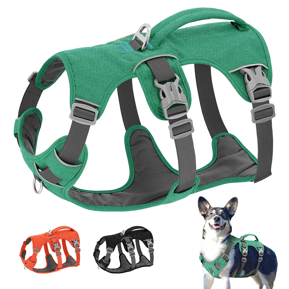 Dog Harness No-Pull Padded Reflective Adjustable XS-M Nylon Escape-Proof Handle Vest Small Medium Large Training Walking Control | Koossa