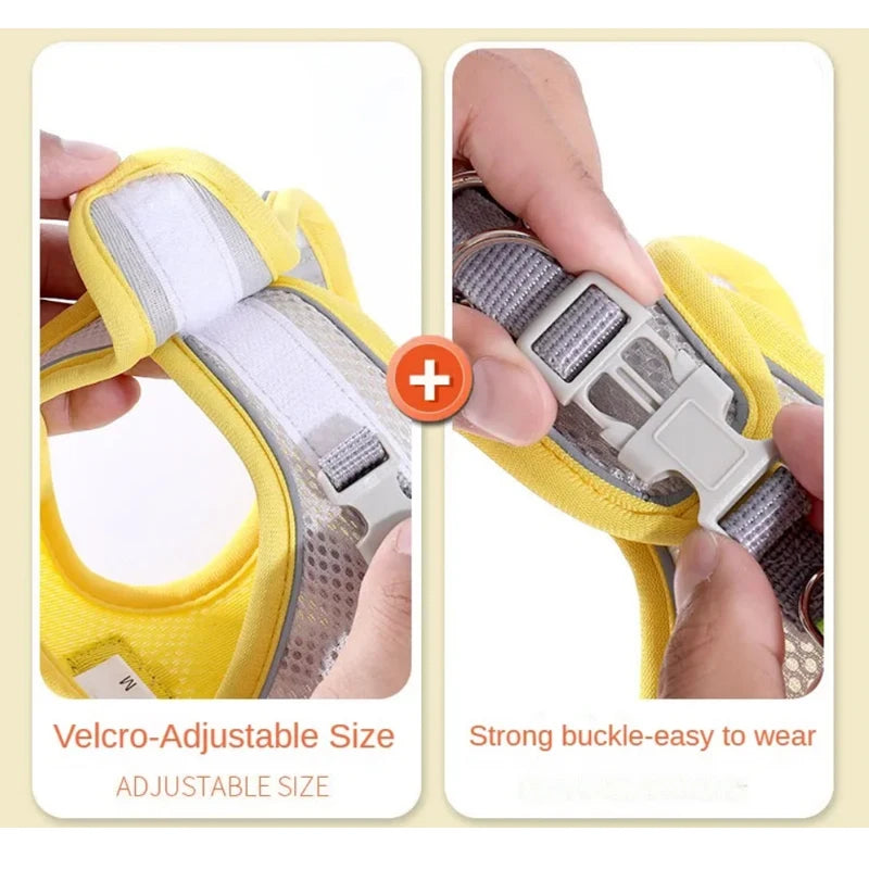 Cat Harness and Lead Set Reflective Breathable Mesh Vest Escape Proof Adjustable Small Medium Dogs Walking | Koossa