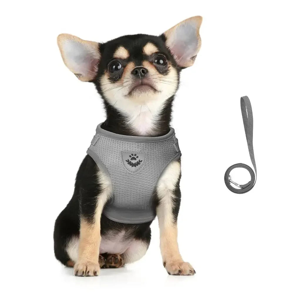 Cat Harness Reflective Mesh Adjustable Escape-Proof Vest Lead Set Small Pet Puppy Walking | Koossa