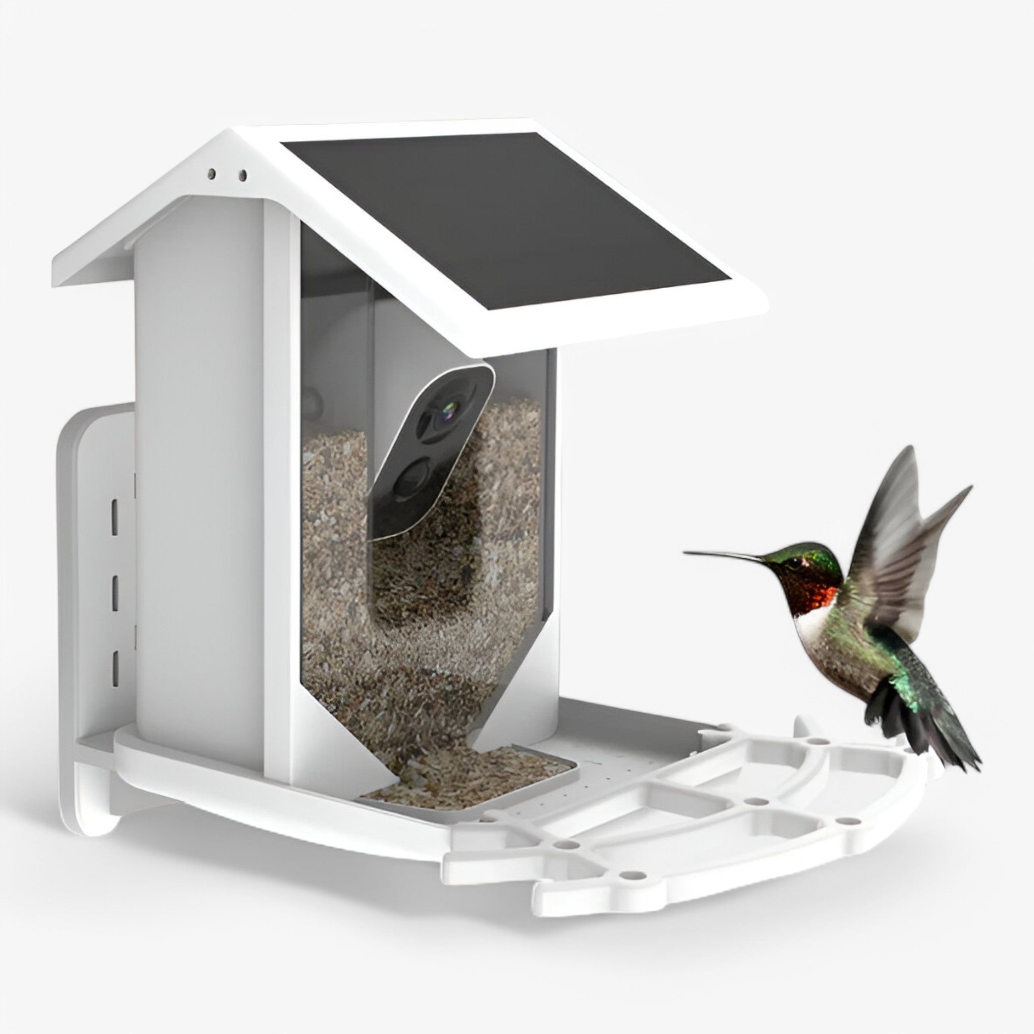 Bird Feeder Camera Smart AI Solar Powered 1080P HD Wildlife Garden Watching Identification Outdoor | Koossa