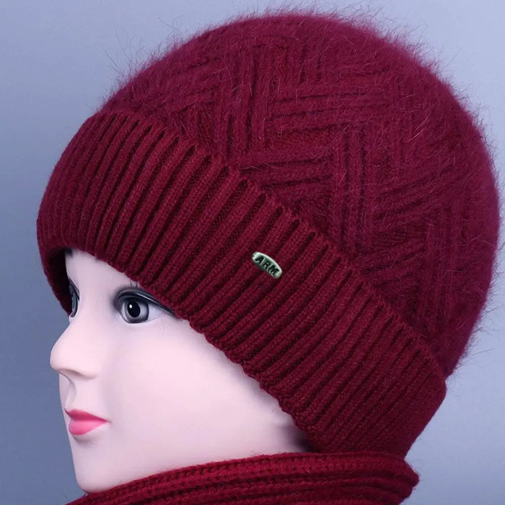 Fleece-Lined Knit Winter Hat for Women with Fold-Up Cuff & Ear Warmers for Cold Weather Outdoors Daily Wear | Lonoma