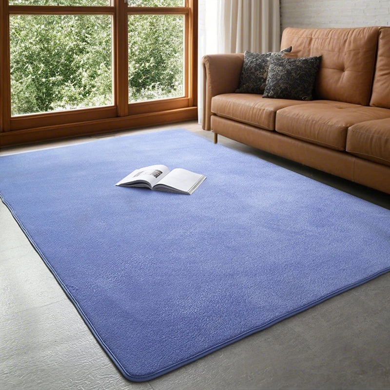 Plush Coral Velvet Area Rug Soft Non-Slip Floor Mat for Living Room Bedroom Kids Play Space Large Rectangle Home Rug | Lonoma