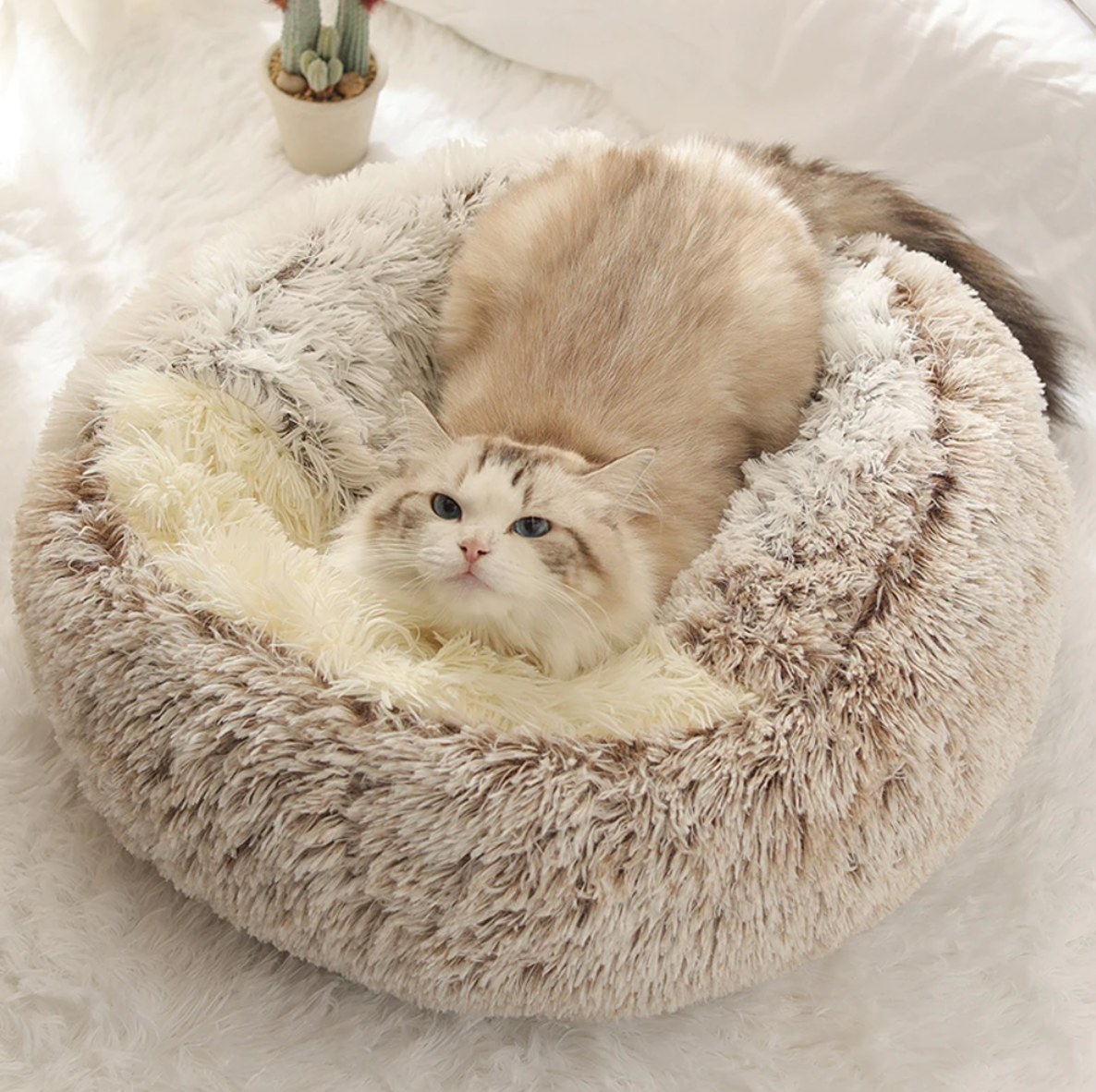 Fluffy Cat Bed Donut Plush Washable Anti-Slip Hooded Cave Nest Small Medium Large Cats 40cm 50cm 60cm Grey White Pink | Koossa