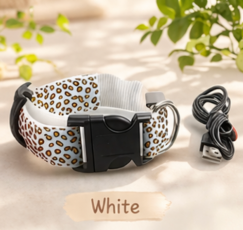 Dog LED Collar USB Rechargeable Leopard Print Light Up 3 Modes Night Safety Glow Collar Small Medium Large | Koossa