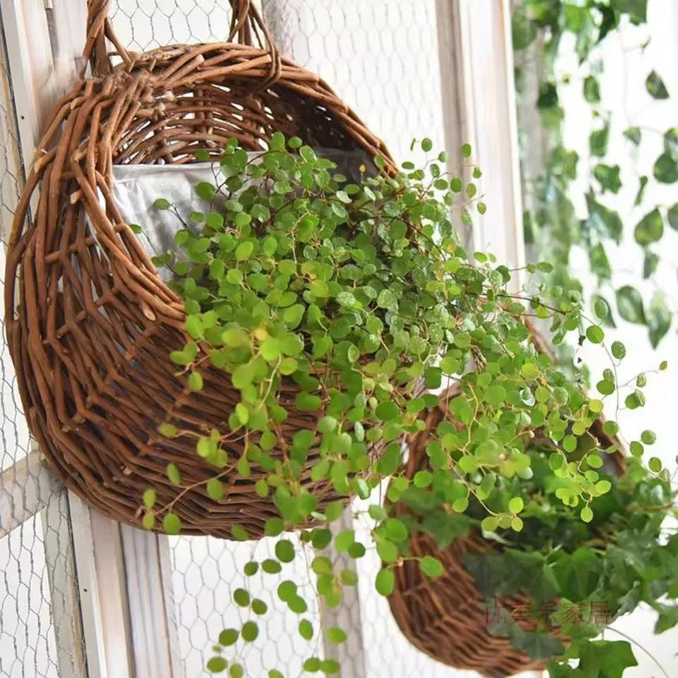 Panier suspendu en rotin naturel tressé à la main pour plantes vertes mur intérieur extérieur décoration | Koossa