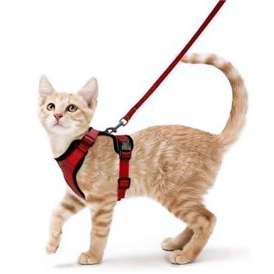 Cat Harness No-Choke Mesh Breathable Adjustable Escape-Proof Vest Kitten Lead Outdoor Walking | Koossa