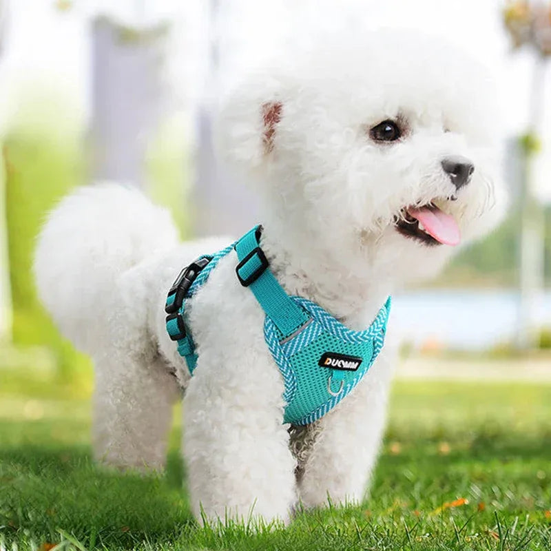 Dog Harness and Lead Set Breathable Mesh Reflective No-Pull Small Puppy Adjustable Vest | Koossa