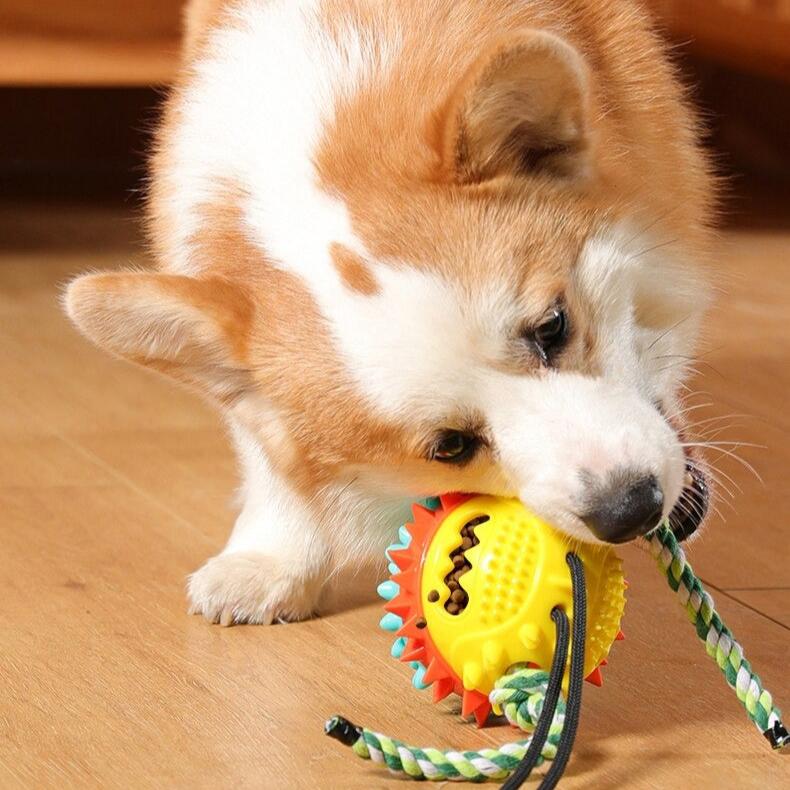 Dog Toy Suction Cup Tug Rope Ball Multi-Function Indoor Outdoor Pull Chew Toy Teeth Cleaning Boredom Buster | Koossa