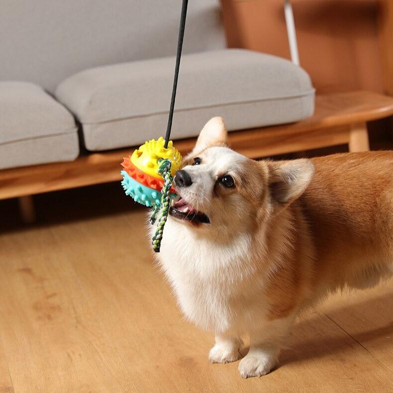 Dog Toy Suction Cup Tug Rope Ball Multi-Function Indoor Outdoor Pull Chew Toy Teeth Cleaning Boredom Buster | Koossa