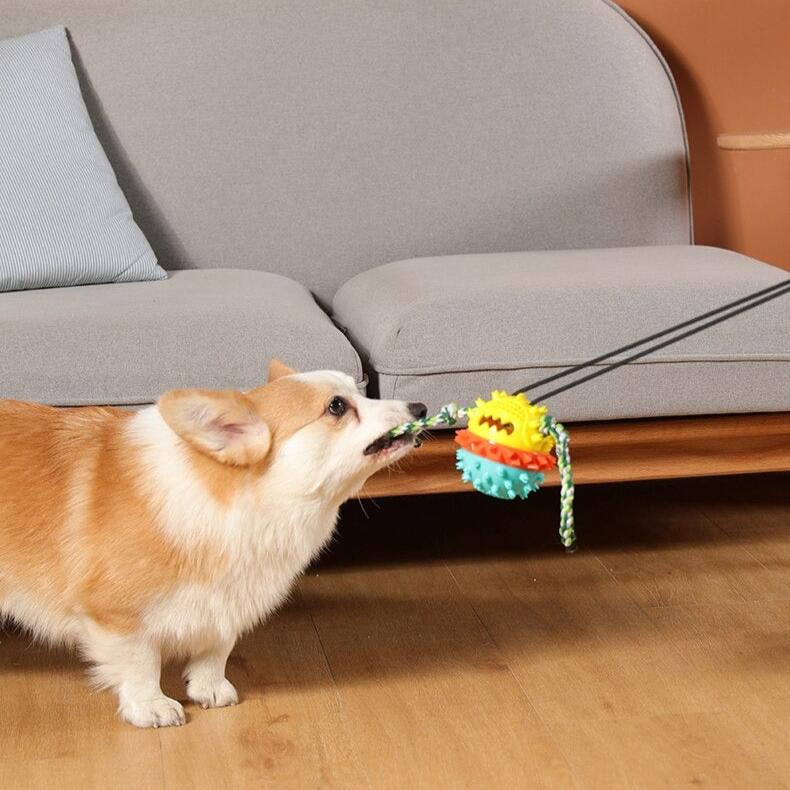 Dog Toy Suction Cup Tug Rope Ball Multi-Function Indoor Outdoor Pull Chew Toy Teeth Cleaning Boredom Buster | Koossa