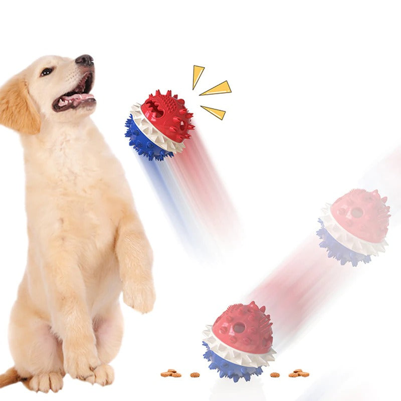 Dog Toy Suction Cup Tug Rope Ball Multi-Function Indoor Outdoor Pull Chew Toy Teeth Cleaning Boredom Buster | Koossa