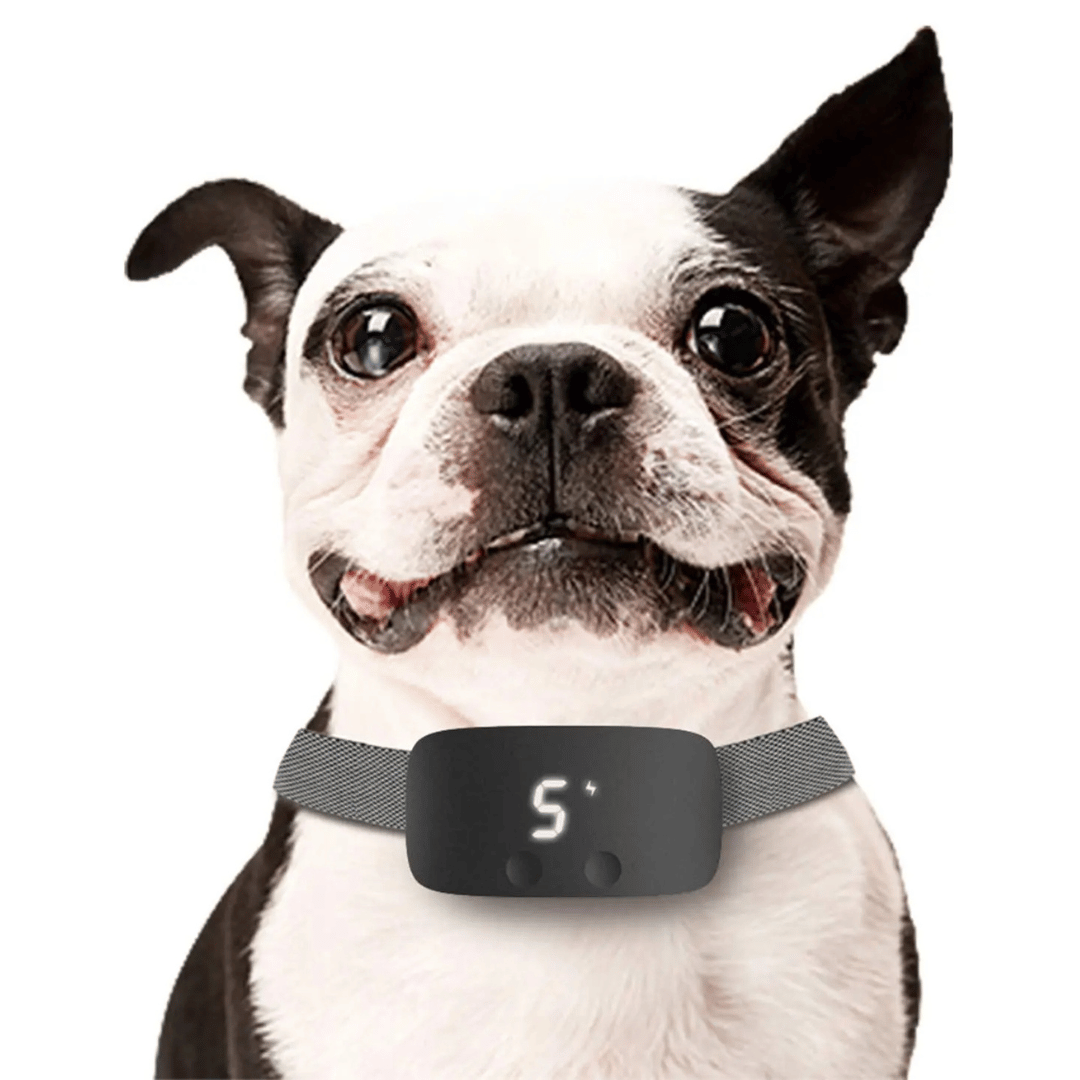 Remote Training Collar Rechargeable Waterproof Vibration Static Tone Small Medium Large Dog Shock Collar Recall Boundary Training | Koossa