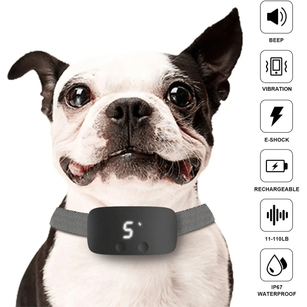 Dog Bark Collar Rechargeable IP67 Waterproof Beep Vibration Static Small Medium Large Anti Barking Training Collar Adjustable | Koossa