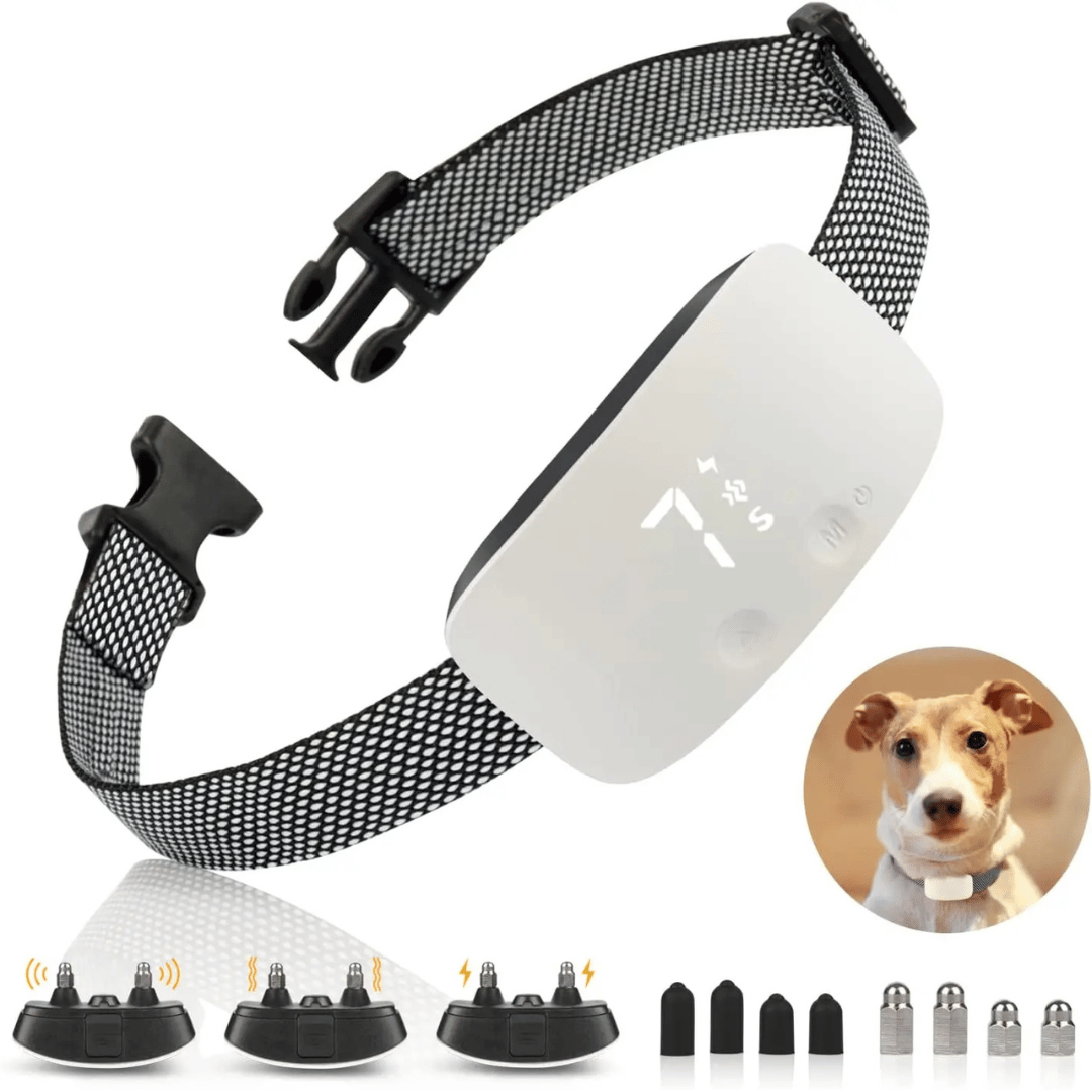 Dog Bark Collar Rechargeable IP67 Waterproof Beep Vibration Static Small Medium Large Anti Barking Training Collar Adjustable | Koossa