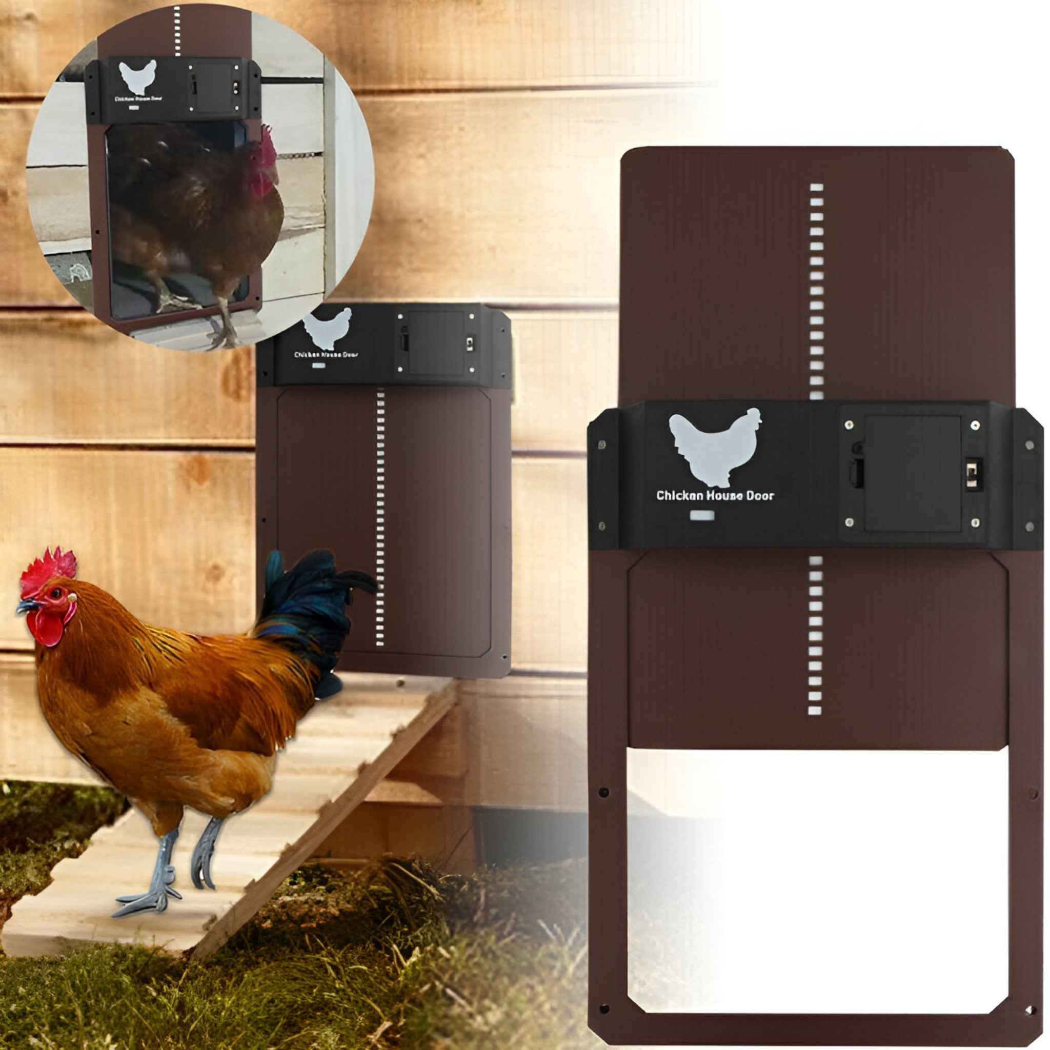 Automatic Chicken Coop Door Light Sensor Timer Battery Powered Weatherproof Green Coop Door Opener Poultry Safety | Koossa